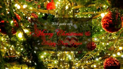 Christmas and New Year Wishes Card