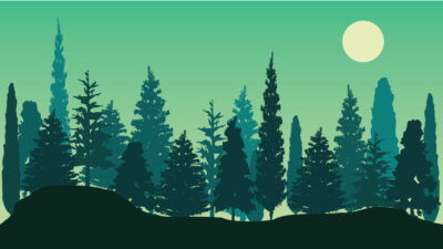 Green Forest Vector Illustration Design