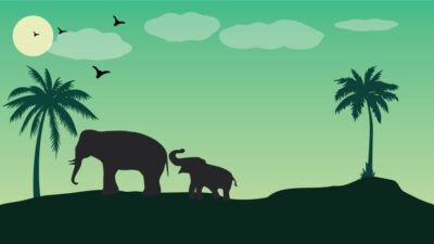 Nature Illustration Vector