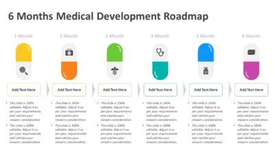 6 Months Medical Development Roadmap