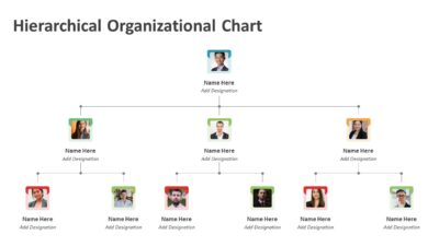 Hierarchical Organizational Chart PowerPoint Slide