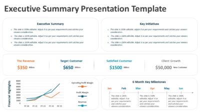 Executive Summary Presentation Template