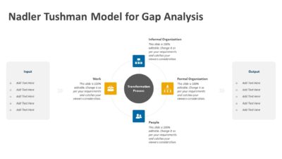 Nadler Tushman Model PowerPoint Template