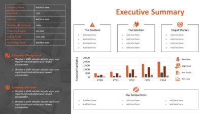 Business Executive Summary