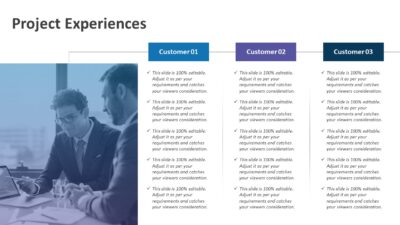 Project Experiences PowerPoint Slide