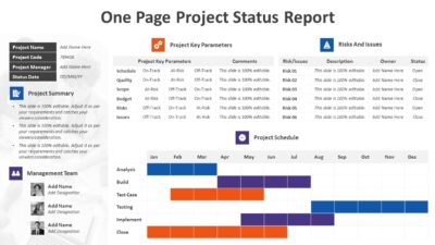 One Page Project Status Report PowerPoint Presentation