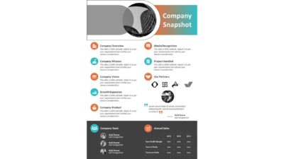One Page Company Snapshot Presentation Template
