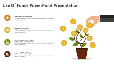 Use Of Funds PowerPoint Presentation