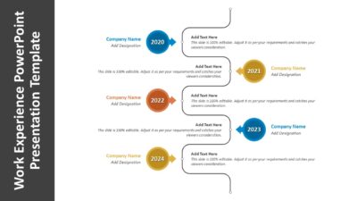 Work Experience PowerPoint Presentation Template
