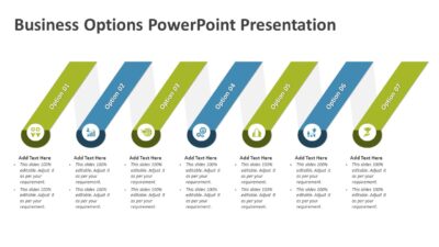 Business Options PowerPoint Presentation