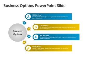 Business Options PowerPoint Slide