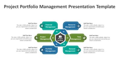 Project Portfolio Management Presentation Template
