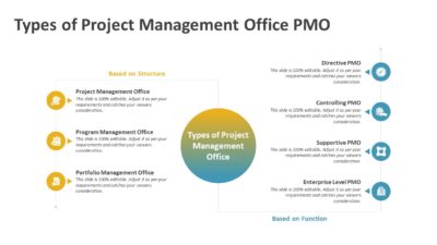 Types of Project Management Office PMO PowerPoint Template