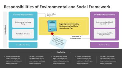 Responsibilities of Environmental and Social Framework