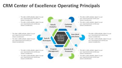 CRM Center of Excellence Operating Principals PowerPoint Template