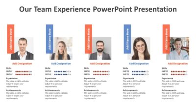 Our Team Experience PowerPoint Presentation