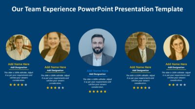 Our Team Experience PowerPoint Presentation Template
