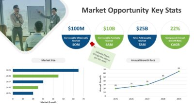 Market Opportunity Key Stats PowerPoint Template