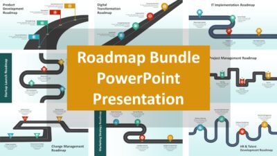 Roadmap Bundle PowerPoint Presentation to Show Complex Plan