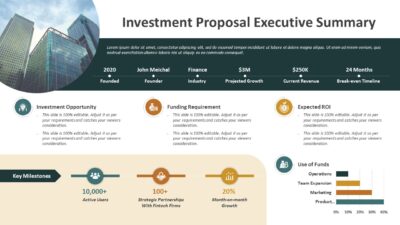 Investment Proposal Executive Summary PowerPoint Template to Show a Business Idea