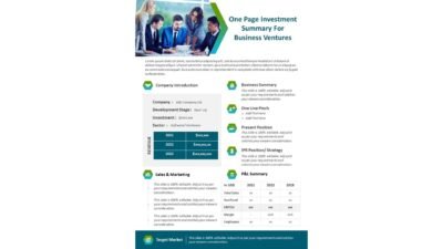 One Page Investment Summary For Business Ventures