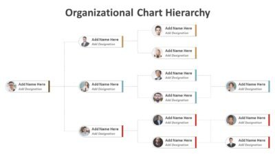 Organizational Chart Hierarchy