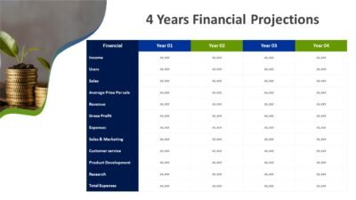 4 Years Financial Projections