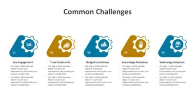 Common Challenges