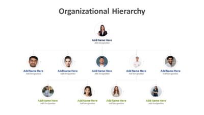 Organizational Hierarchy
