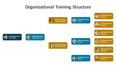 Organizational Training Structure