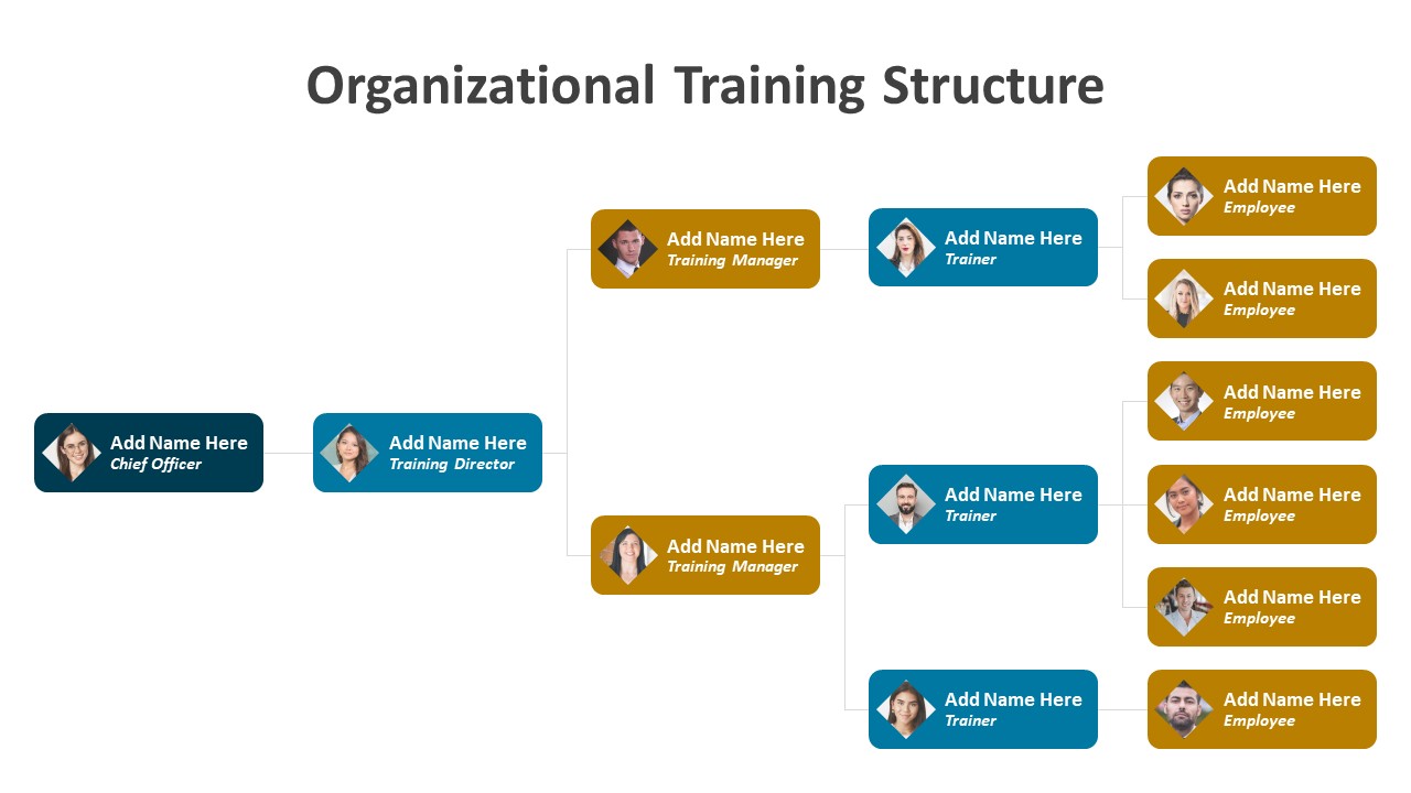 Organizational Training Structure